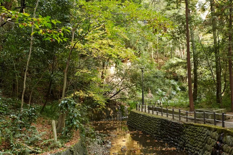 Todoroki Ravine Park
