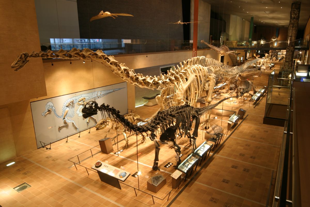 Kitakyushu Museum of Natural History and Human History