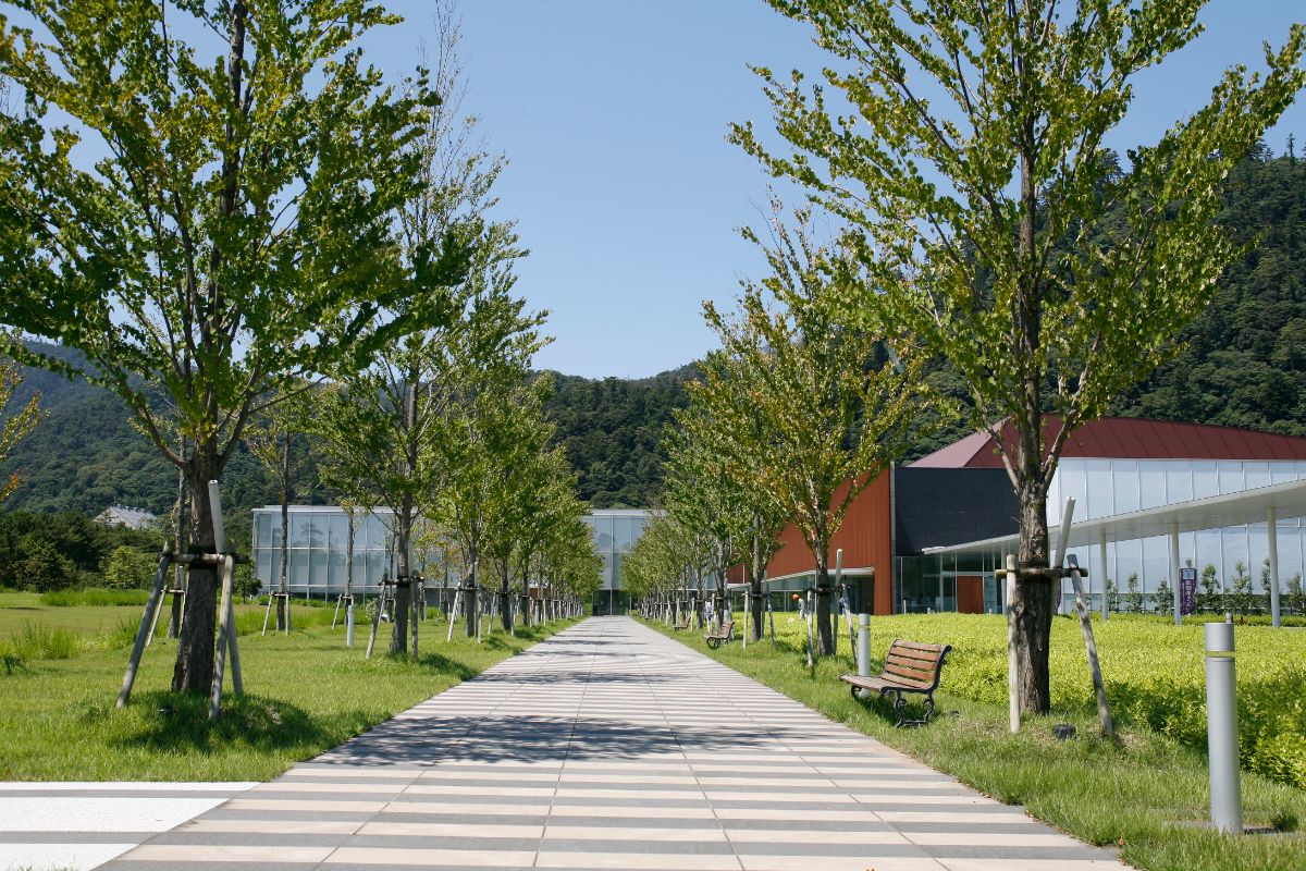 Shimane Museum of Ancient Izumo