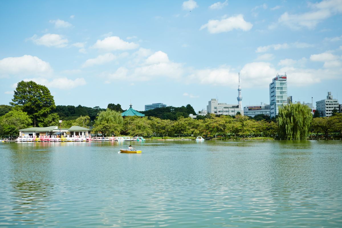 Shinobazunoike Pond