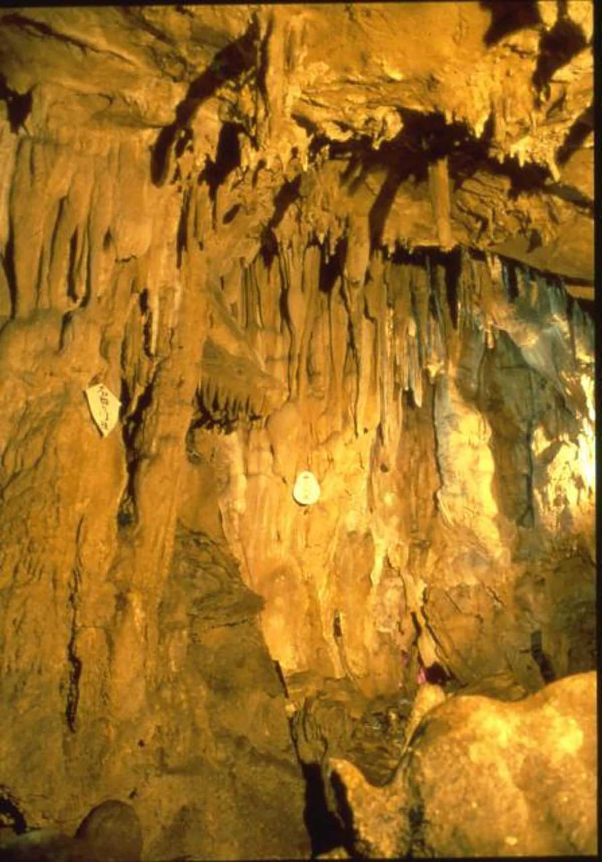 Goyomatsu Shonyudo Limestone Cave