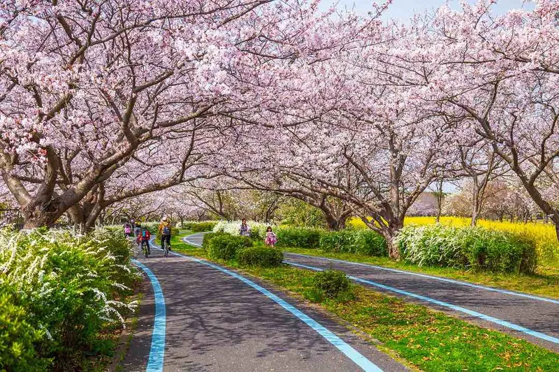uminonakamichi seaside park fukuoka