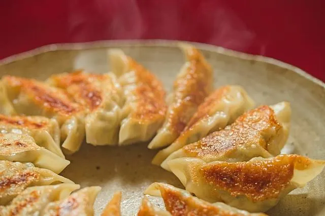 gyoza
