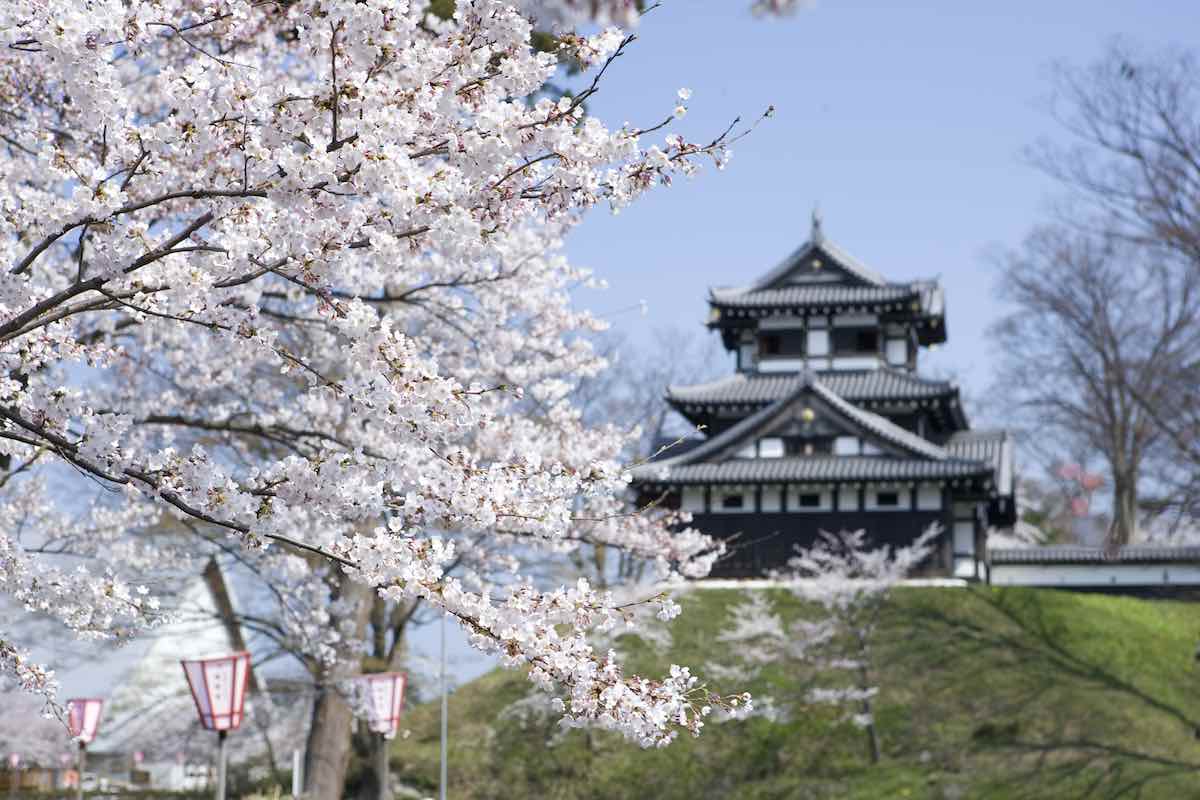 Takada Castle Ruins Park