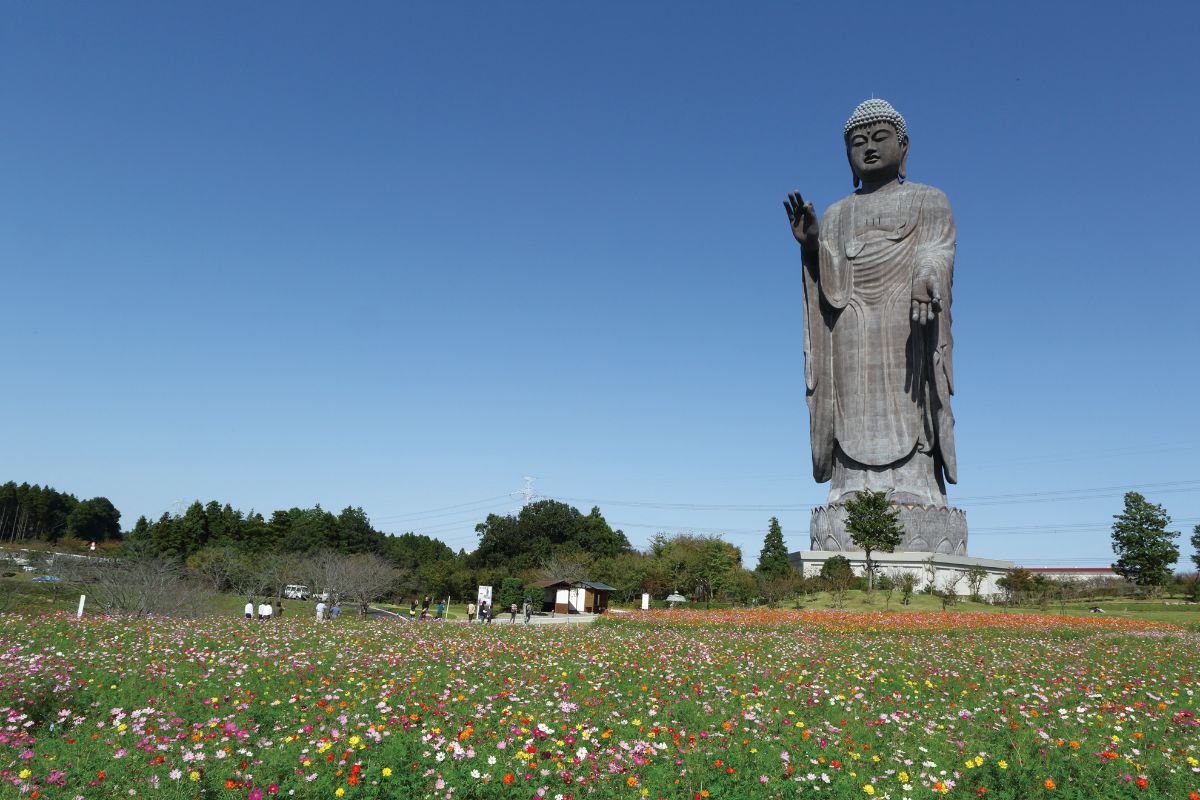 Ushiku Daibutsu Great Buddha