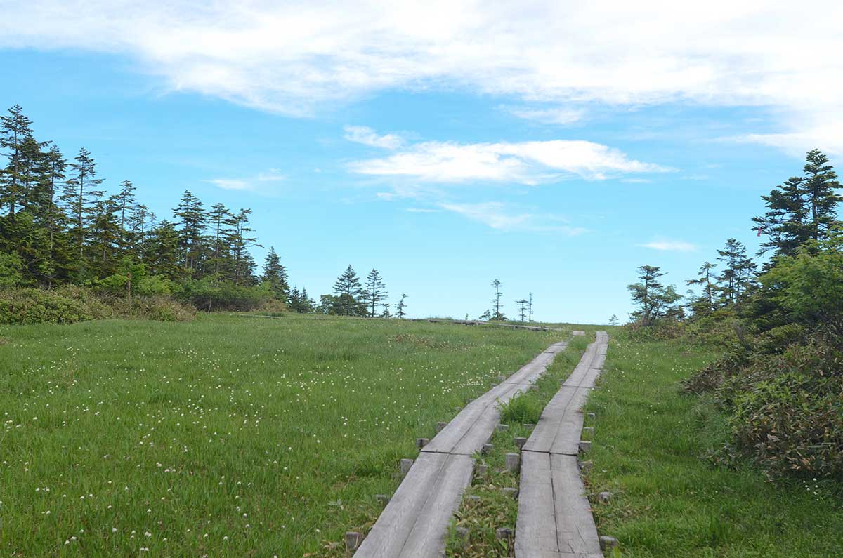 Oze National Park