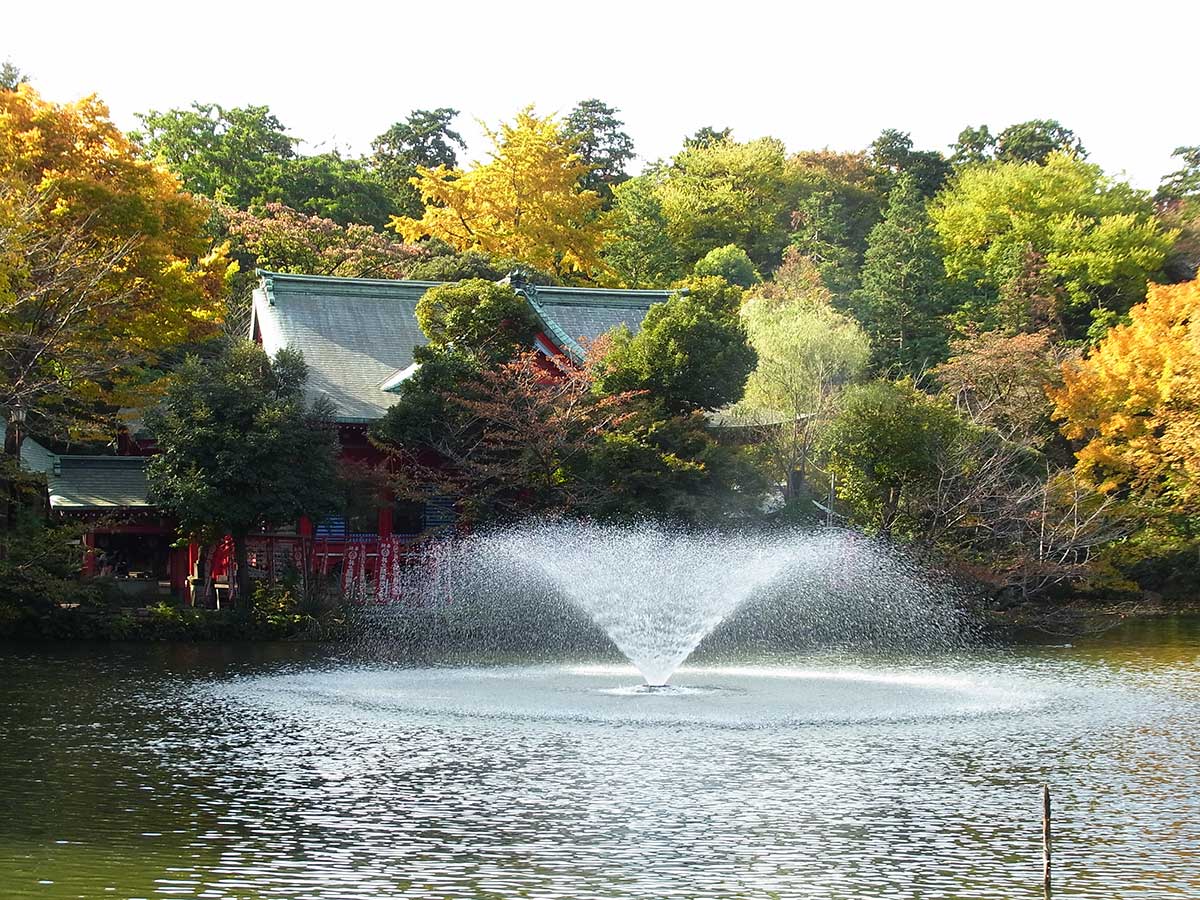 Inokashira Koen Park