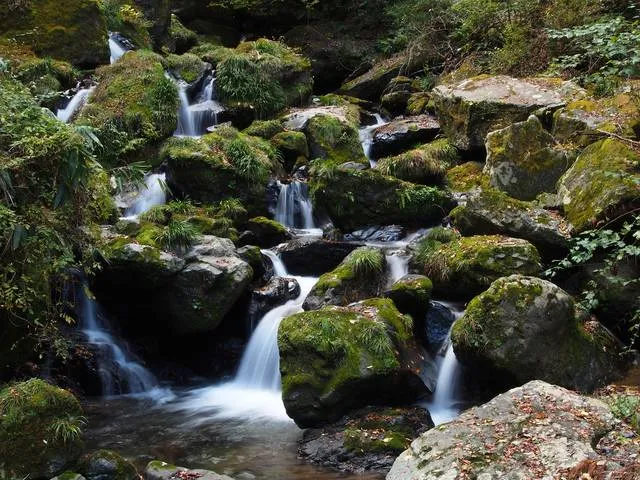 idventure kumamoto
