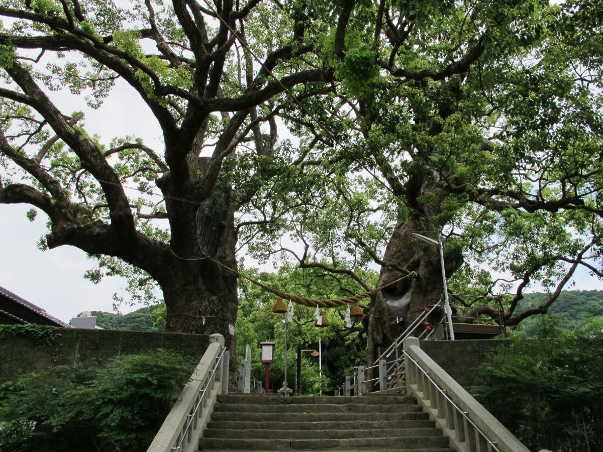 One-Pillar Torii Gate (Sanno Jinja Shrine)-0