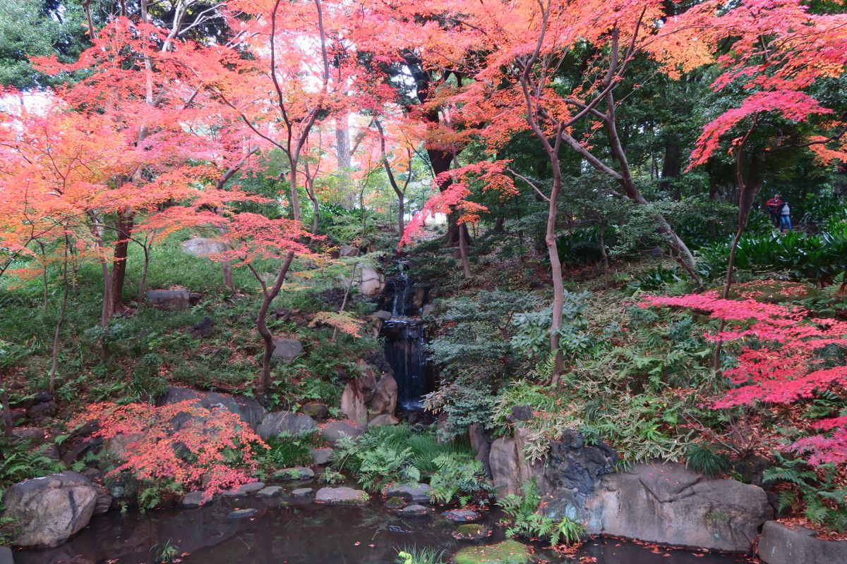 Kyu-Furukawa Gardens-5