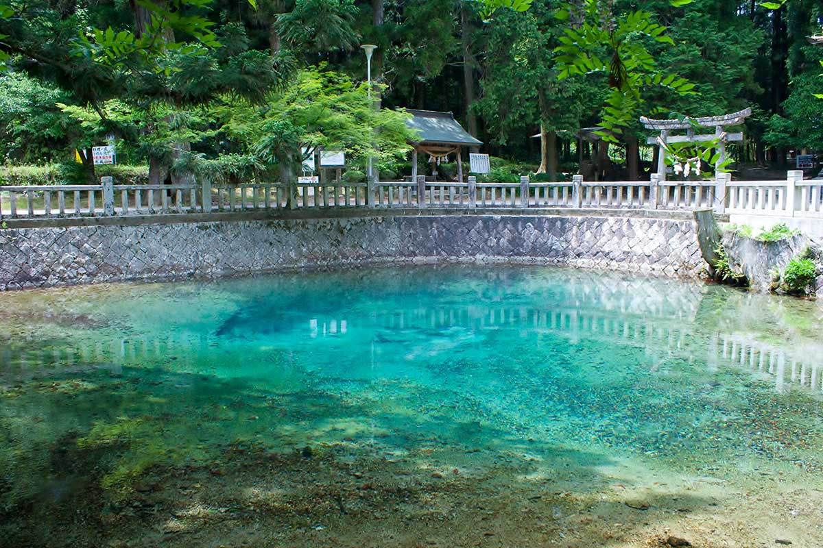 Beppu Benten Ike Pond