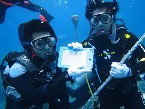 PADI Beginner Passport Diver Program: Discover Okinawa’s Hidden Underwater World