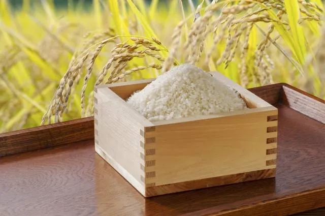 rice
