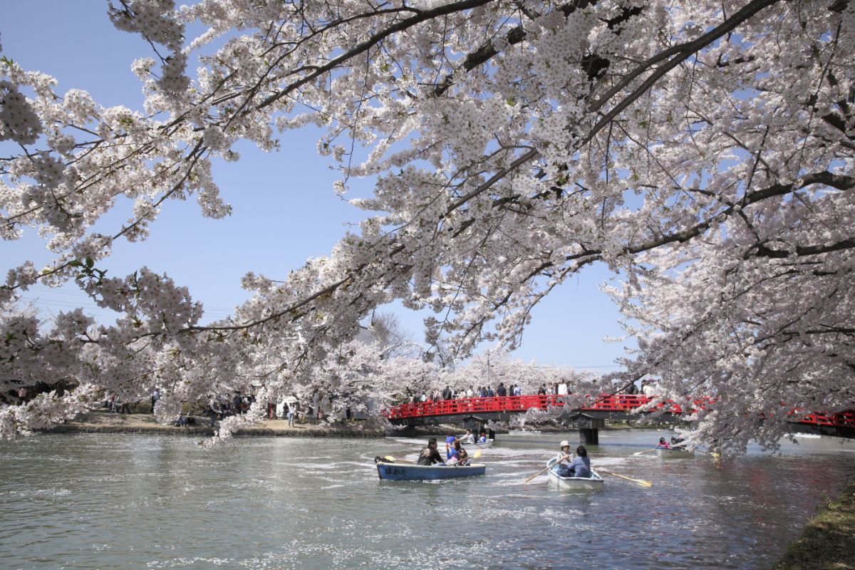 Hirosaki Koen Park