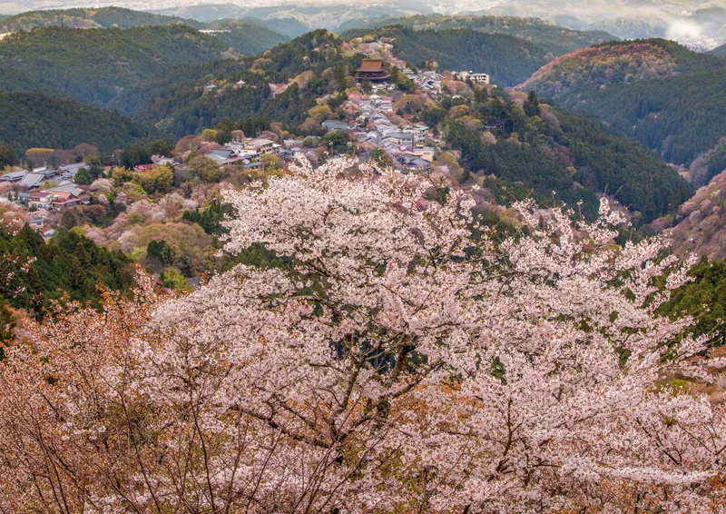 mt_yoshino