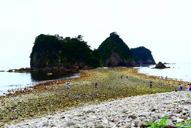 sea_cave_cruise_izu_shizuoka