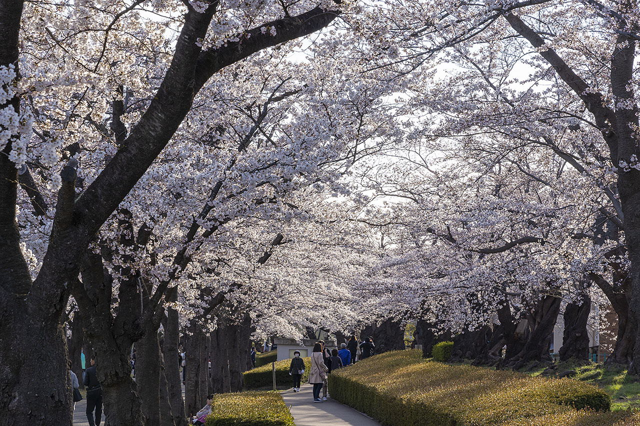 Kaiseizan Koen Park