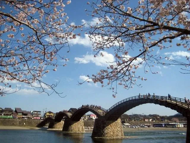 bridge1