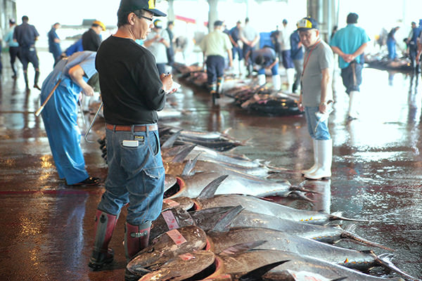 Shiogama Seafood Wholesale Market