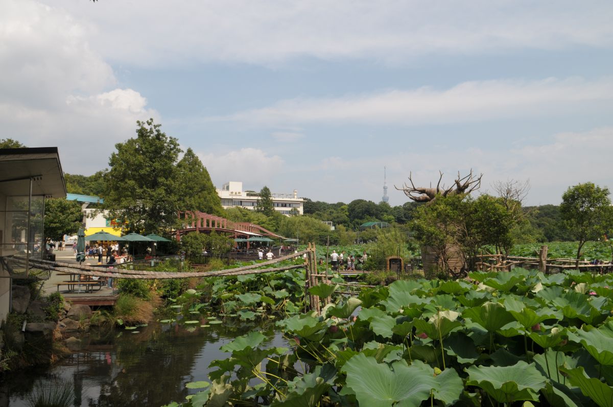 Ueno Zoological Gardens-3