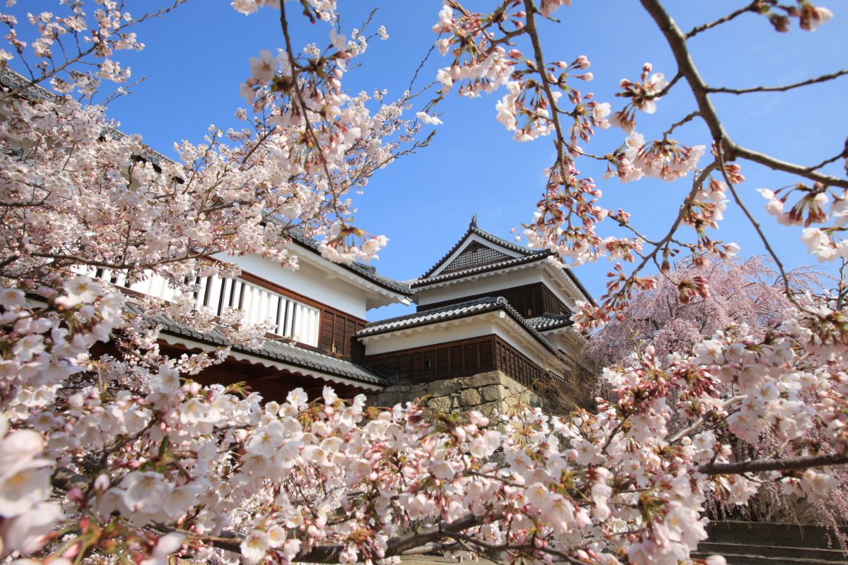 Ueda Castle Koen Park-7