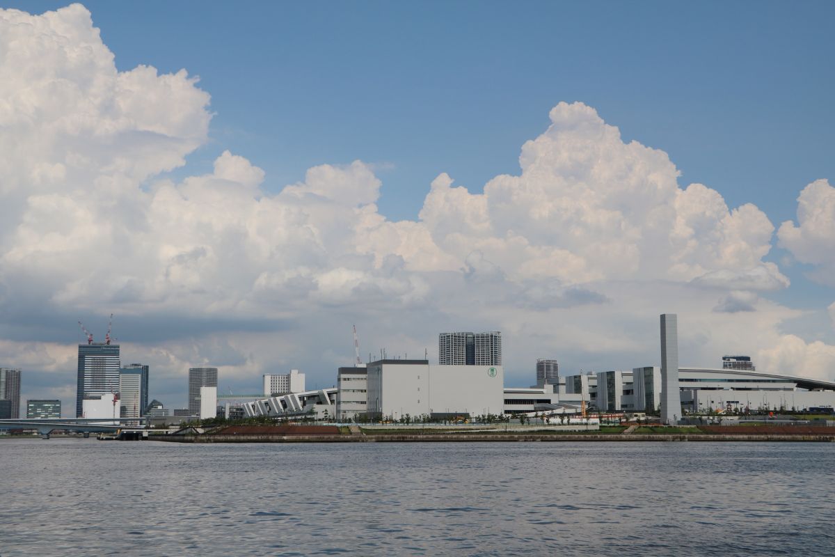 Toyosu Market-4