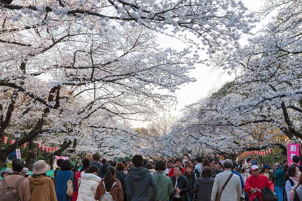 Ueno Koen Park-1