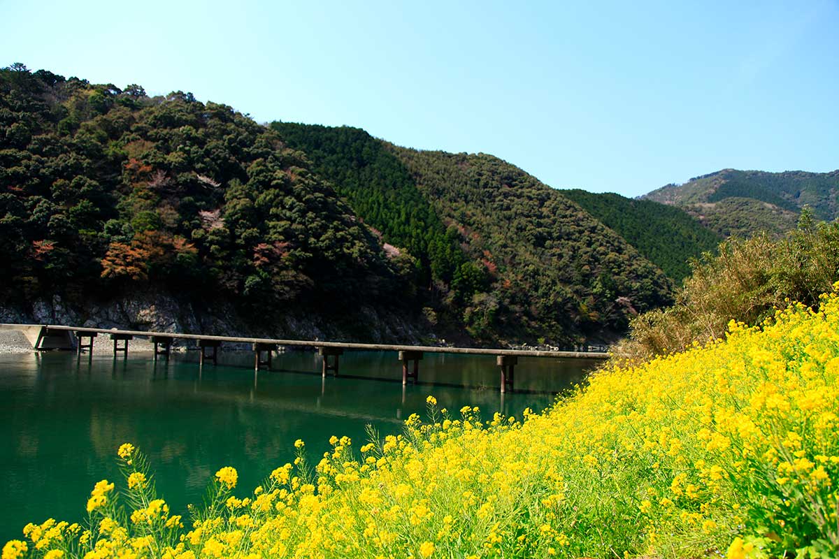 Shimantogawa River