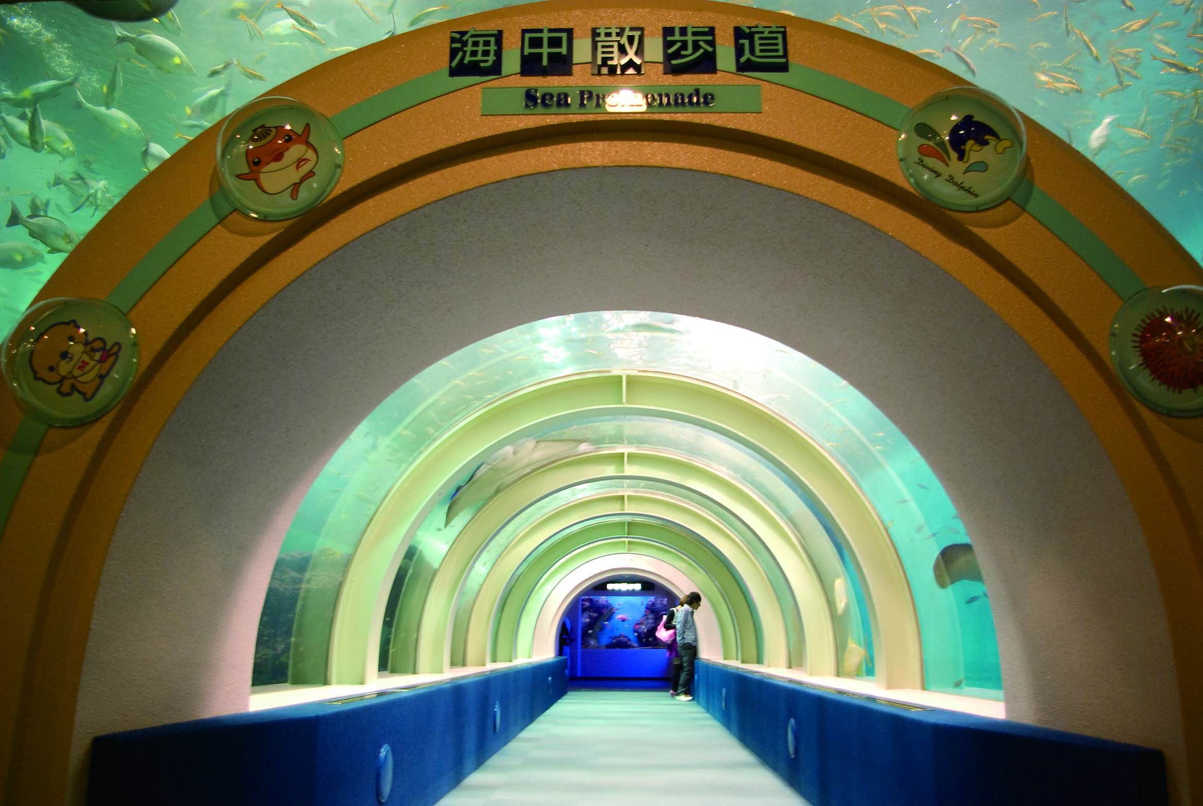 Aquarium Asamushi