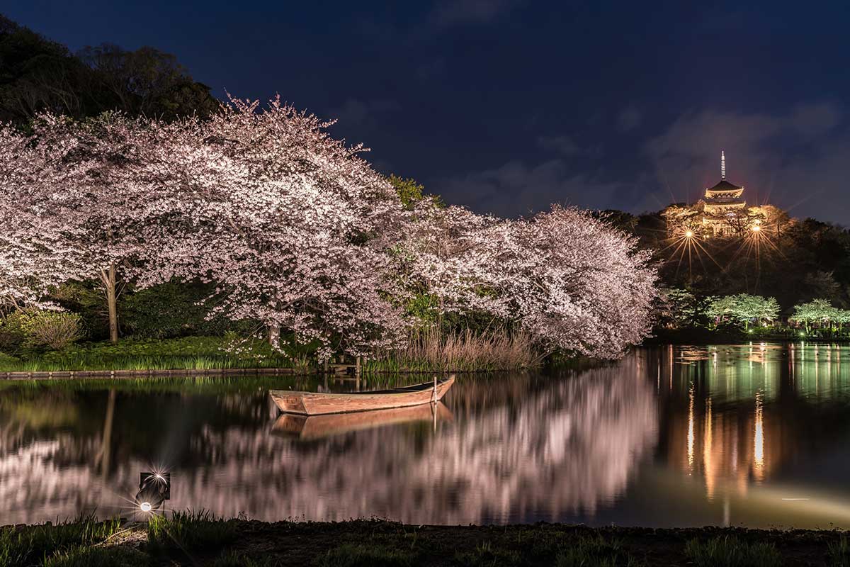 Sankeien Garden (Kanagawa)