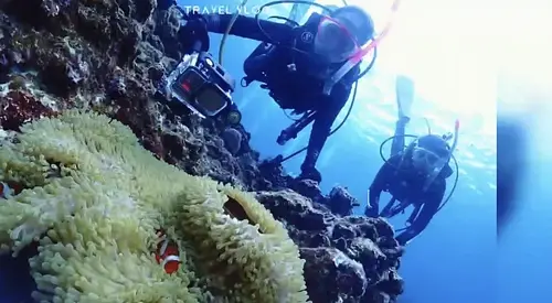 Tokyo Area NAUI Beginner Passport Diver Tour