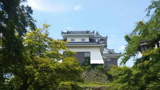 castle_fukui