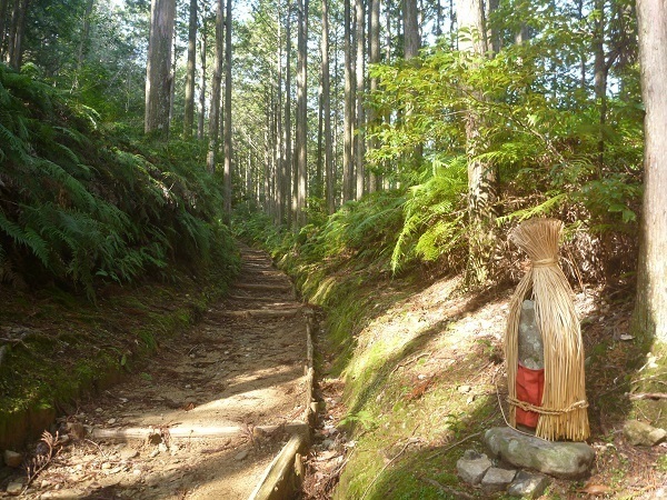 Kumano Kodo Walking