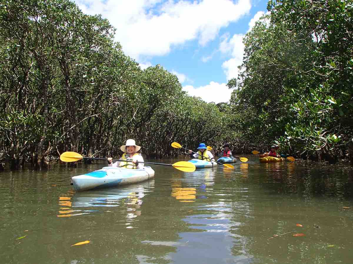 Kuroshio no Mori Mangrove Park