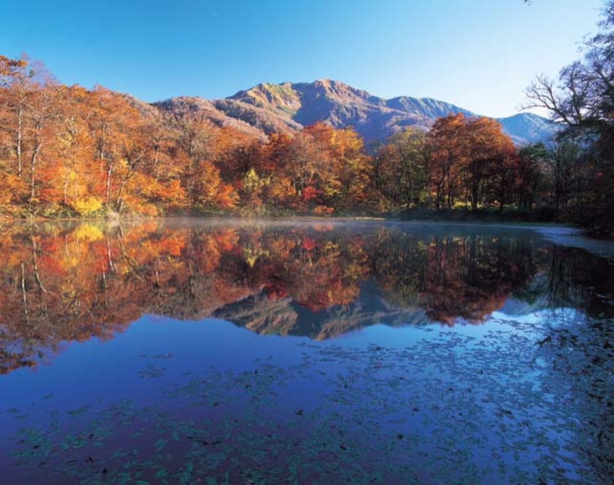 Karikomi Ike Pond