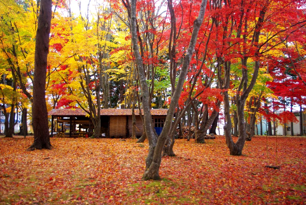 Kosetsuen (Miharashi Koen Park)