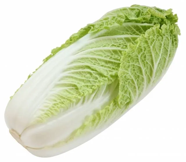 japanese vegetables