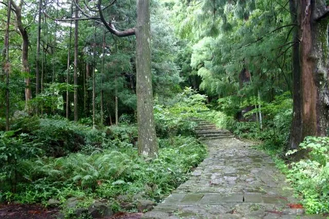 kumano kodo wakayama