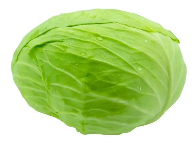 japanese vegetables