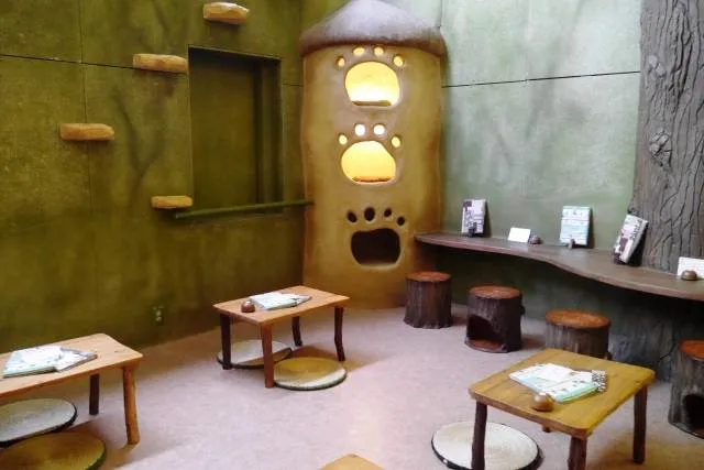cat-cafe