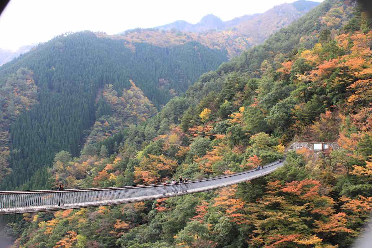 Umenoki Todoroki Koen Park Suspension Bridge