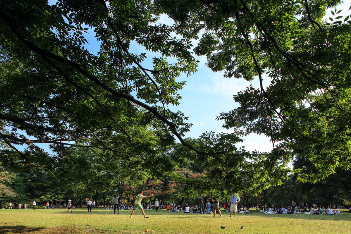 Yoyogi Koen Park-3