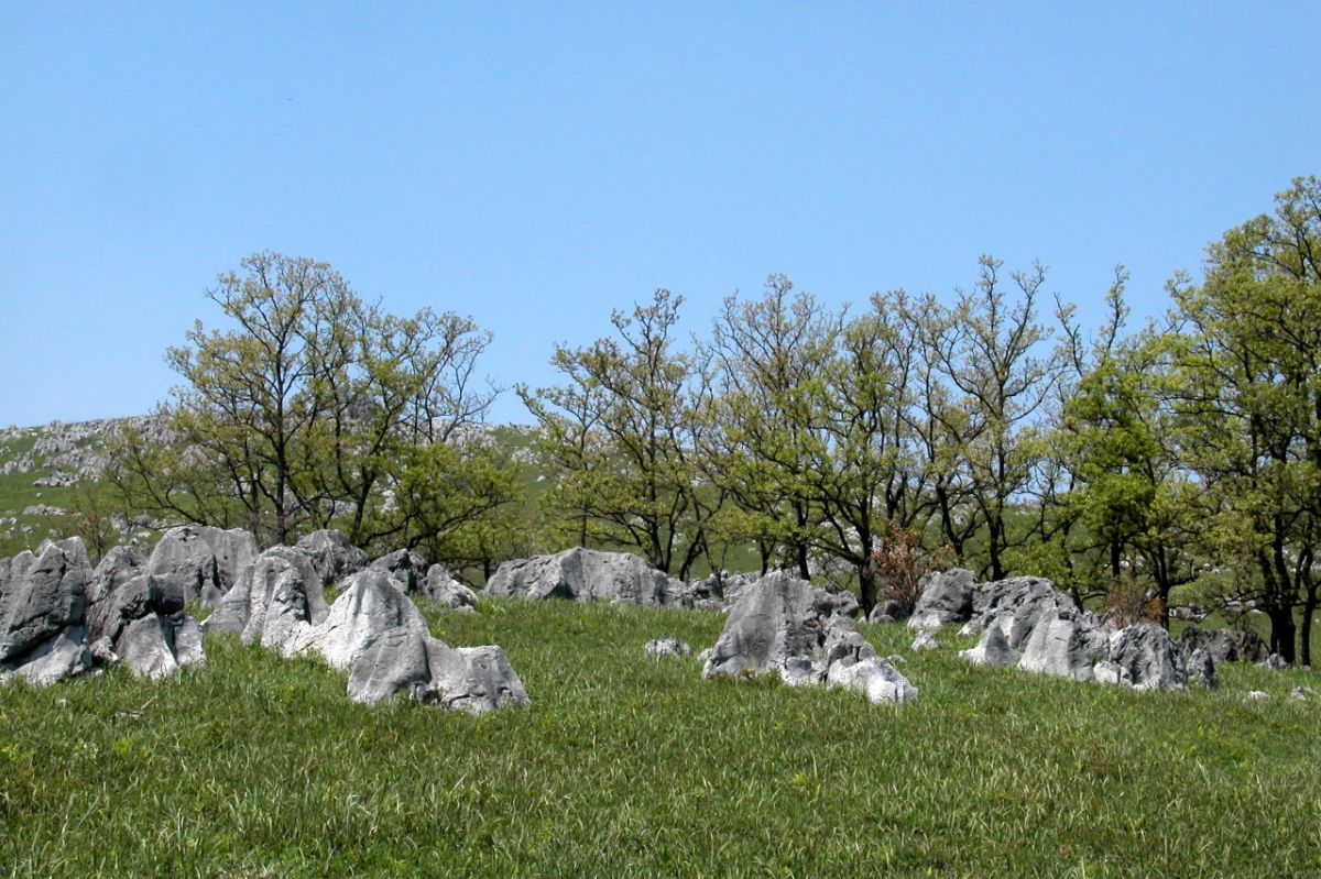 Akiyoshidai Quasi-National Park