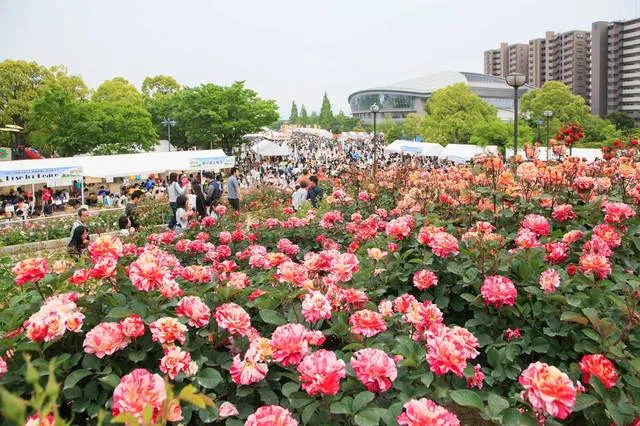 roses parade hiroshima