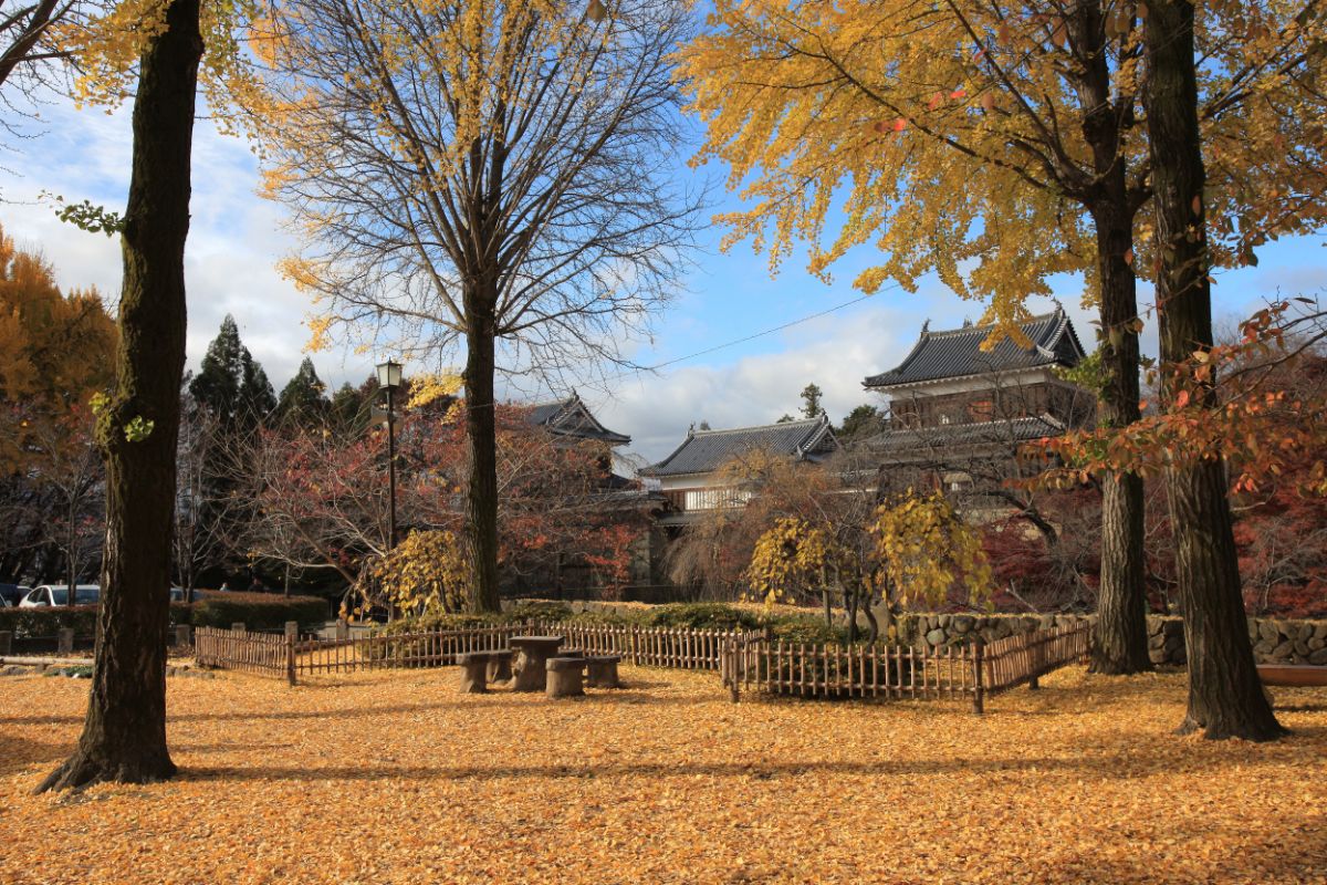 Ueda Castle Koen Park-3