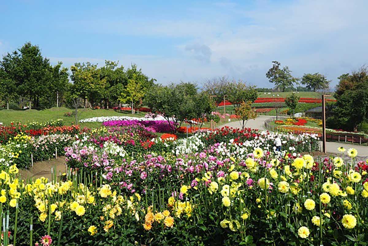 Umami Kyuryo Koen Park