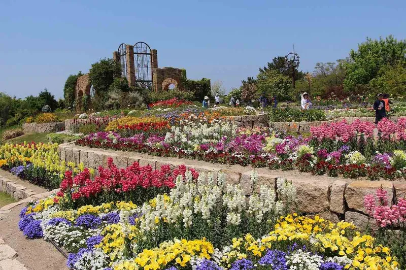 uminonakamichi seaside park fukuoka