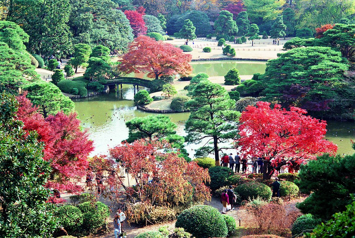 Rikugien Garden-2