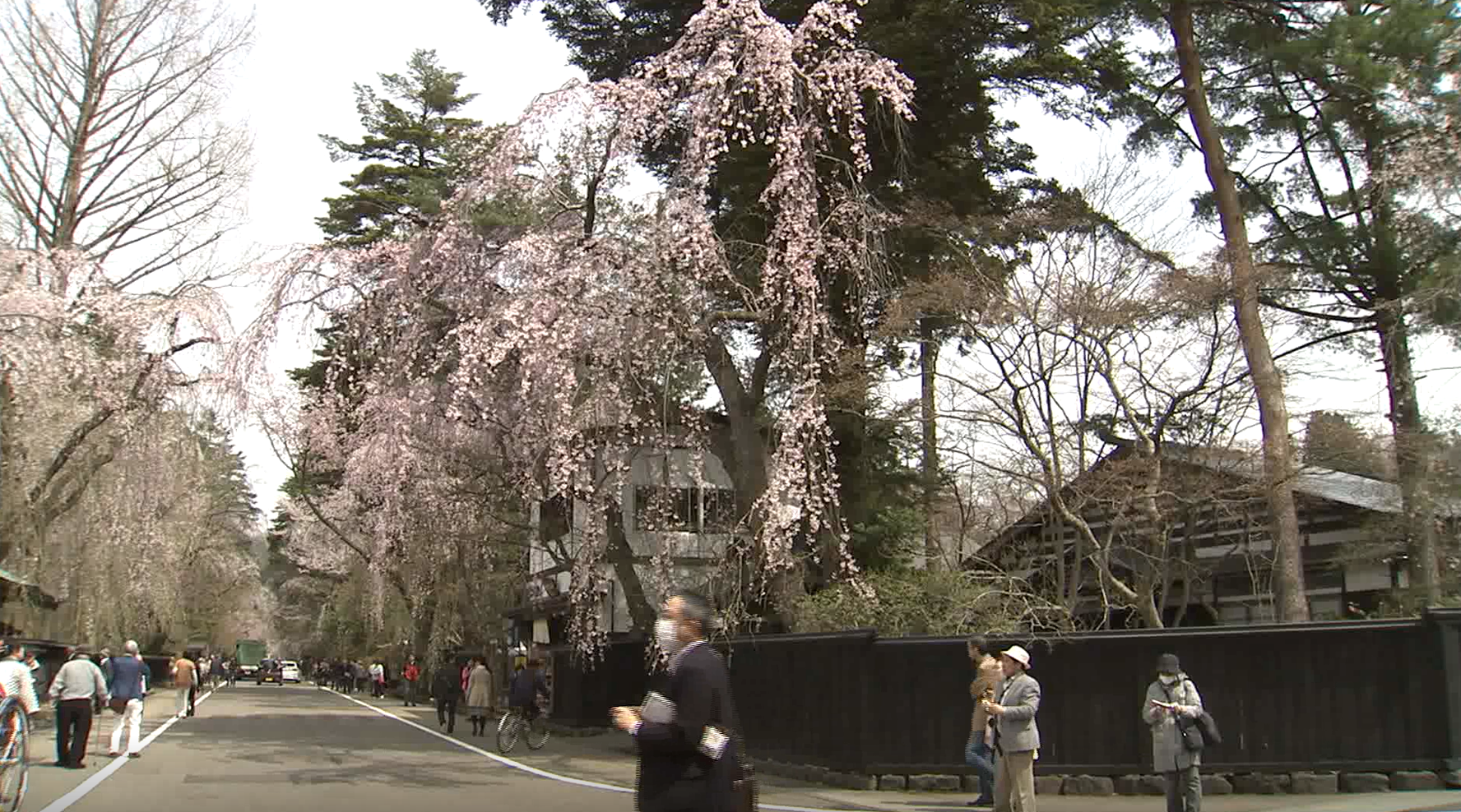 Kakunodate Samurai District