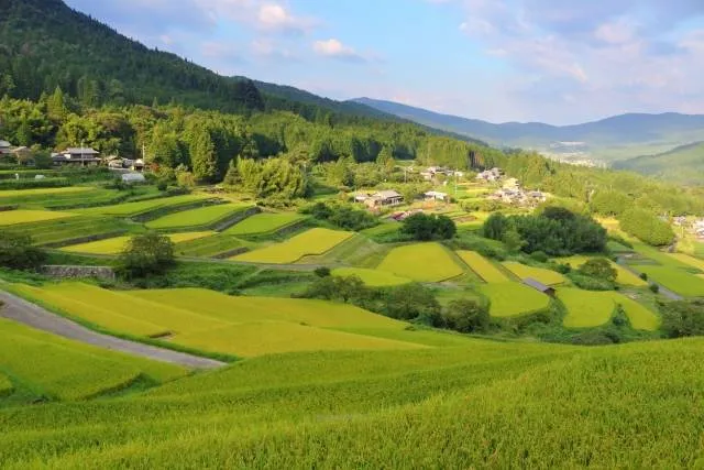 kawatana